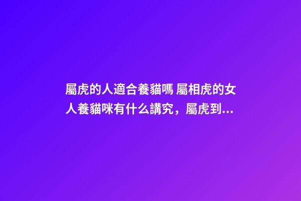 屬虎的人適合養貓嗎 屬相虎的女人養貓咪有什么講究，屬虎到底能不能養貓-第1張-觀點-玄機派